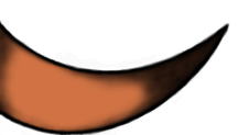 dark tip 