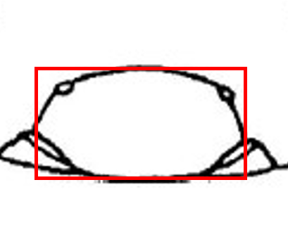 transverse