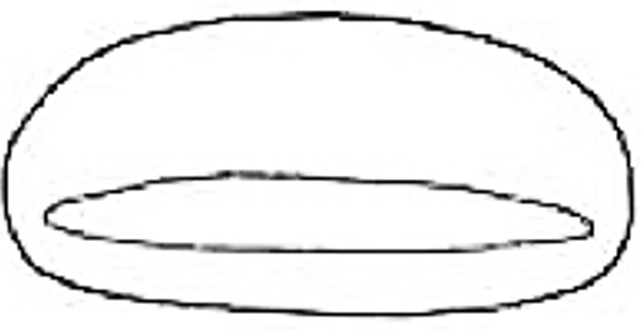 elongate - slit
