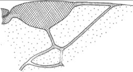 Sm2 small