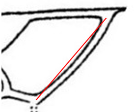 convex