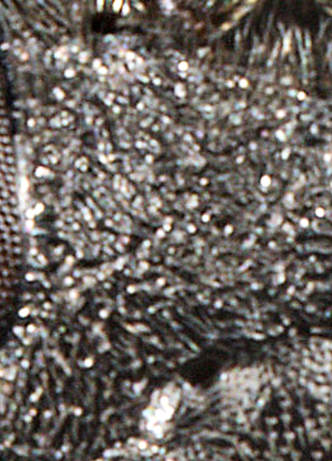 medium