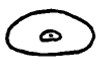 apical aperture