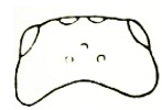 head, dorsal view