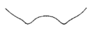apical end of carapace in dorsal view