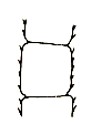 16th antennal segment