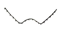 apex of metasoma, dorso-apical aspect