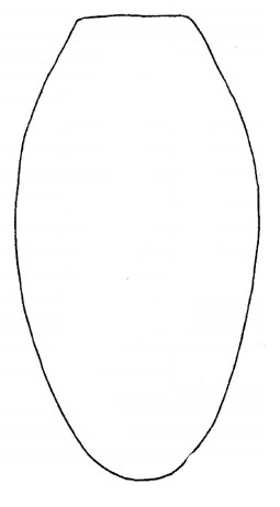 ♀ metasoma, dorsal view