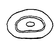 carapace, posterior end