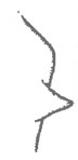 posterior part of propodeum with tubercule