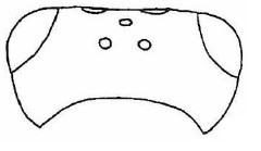 head in dorsal view
