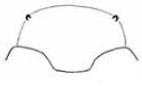 clypeus