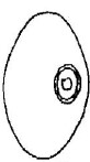 ♂ metasomal aperture