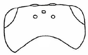 head, dorsal view