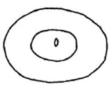 apex of the metasoma, posterior view