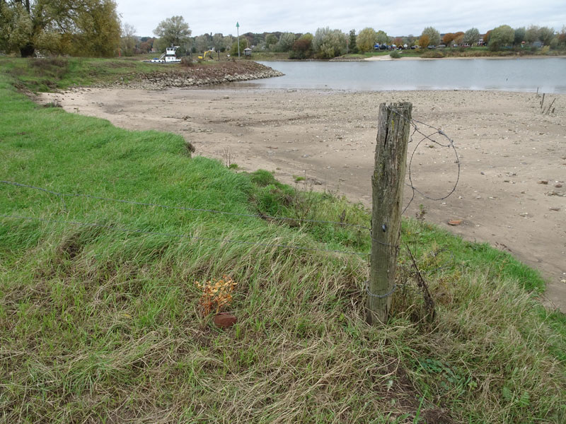 fotos/strand.jpg