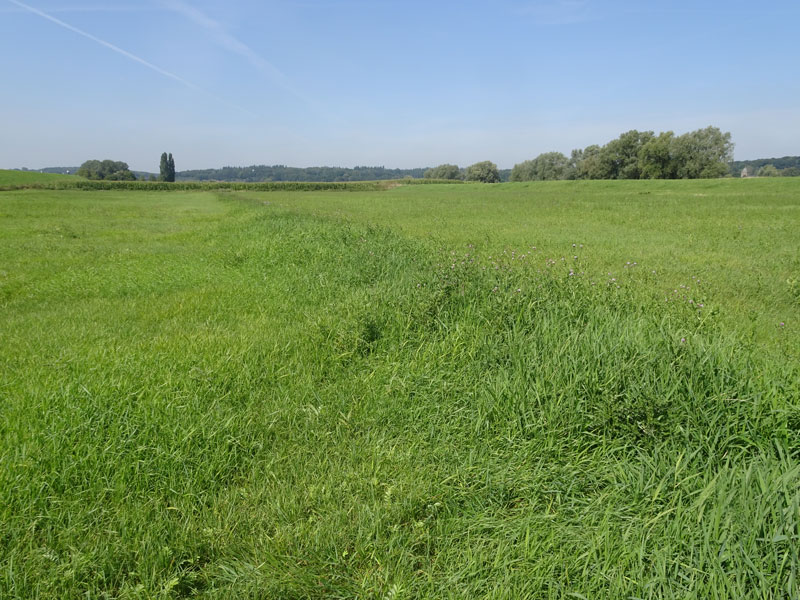greppel-0.jpg