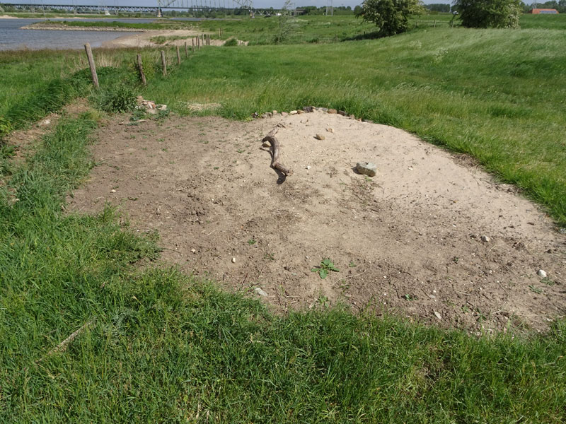 zand1-3.jpg