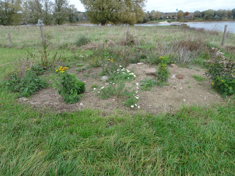 zand1-4.jpg