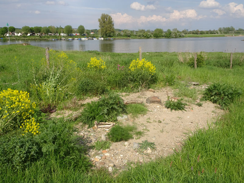 zand1-5.jpg