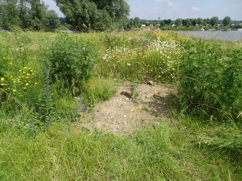 zand1-6.jpg