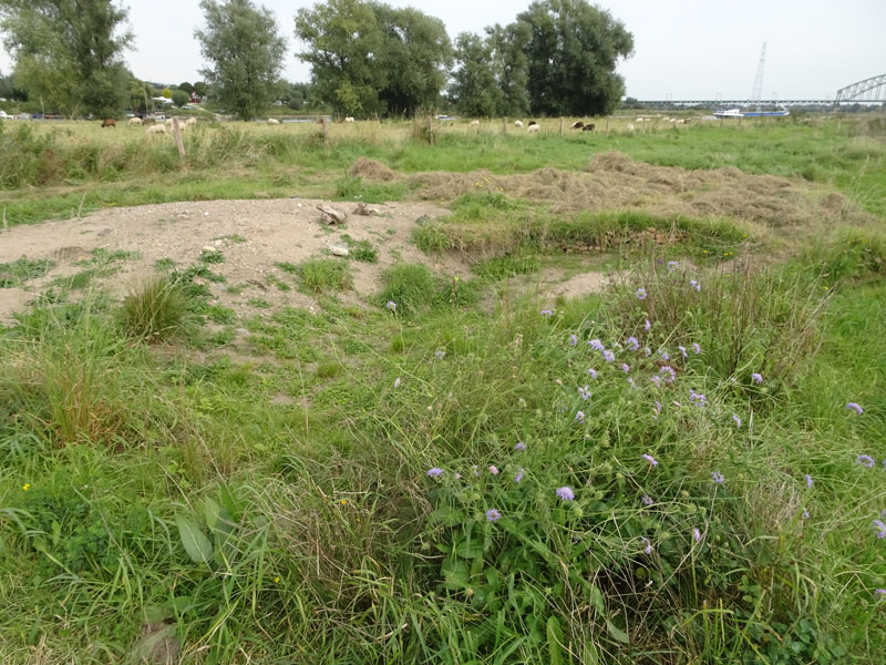 zand2-1.jpg