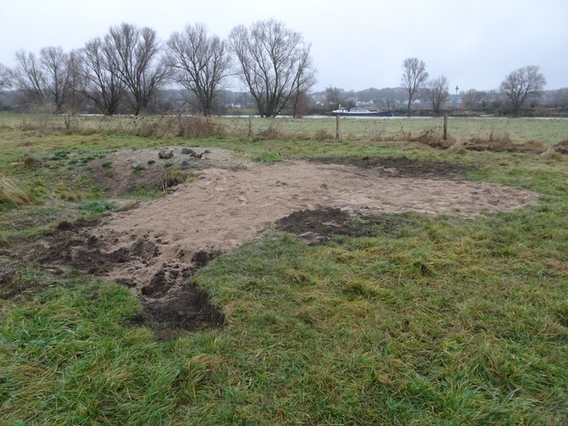 zand2-11.jpg