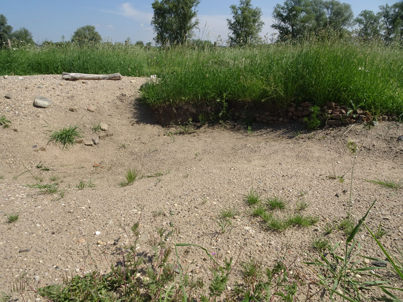 zand2-9.jpg