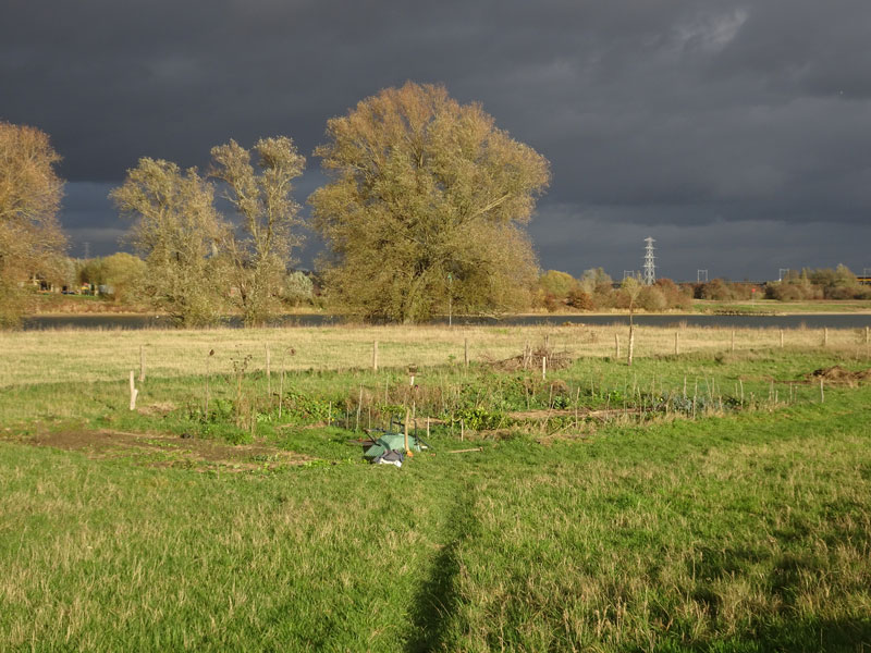 moestuin/moestuin-lucht.jpg