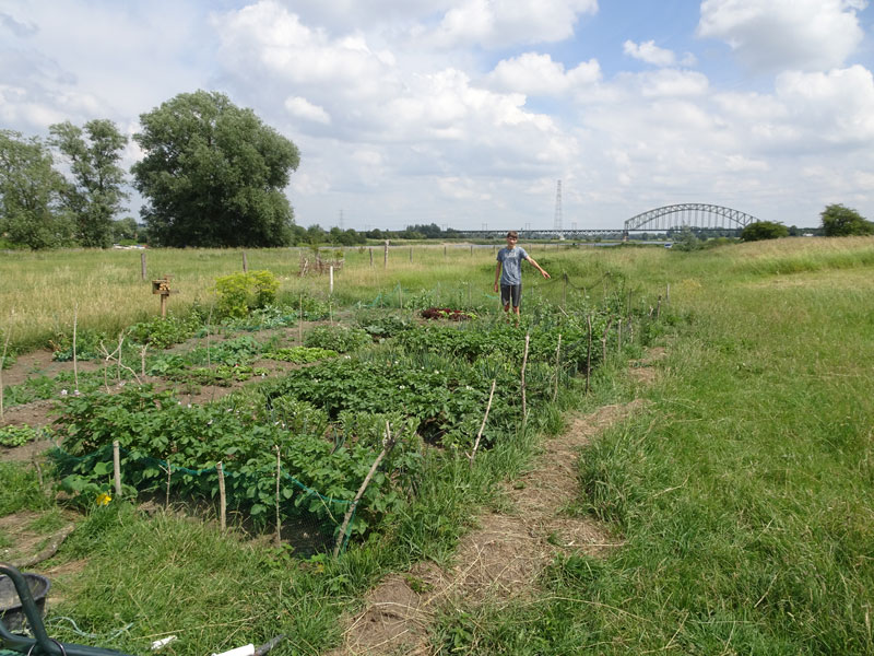 moestuin-stefan.jpg